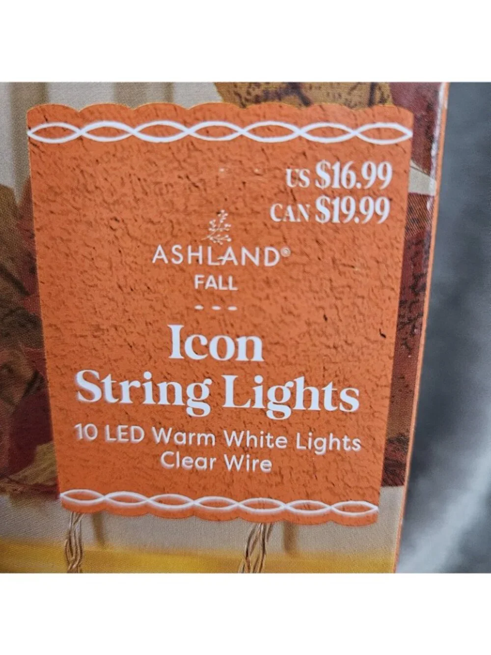Mini LED String Lights Pumpkin Spice Latte 6ft Crafting Fall Autumn Halloween